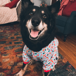 Fundraising Page: Guinness PAC Alum Keeley